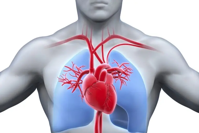 Síndrome de Barlow: causa pocos síntomas, pero es importante conocerlo para quienes lo padecen