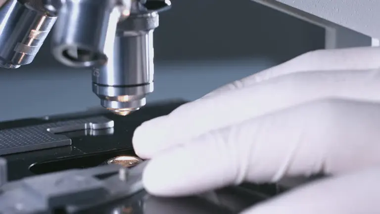 Científicos españoles descubrieron una proteína que aplaca las metástasis del cáncer de mama