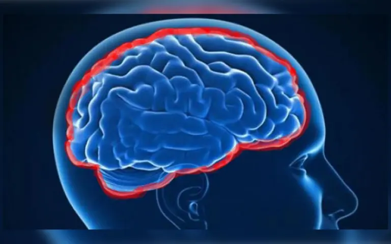 Aumentan los casos de meningitis en el país: ¿qué causa esta enfermedad?