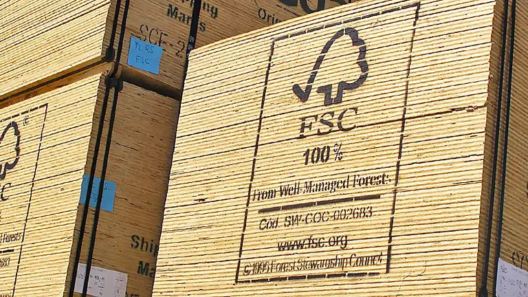 El cuidado del medio ambiente pisa fuerte: FSC® llega a la Argentina