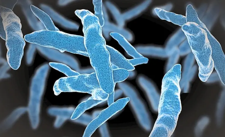 Tuberculosis: ¿cómo se contagia y cómo puedo protegerme?