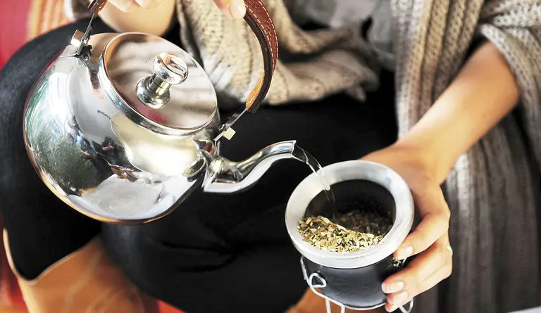 El efecto del mate sobre los huesos, descubierto por un argentino