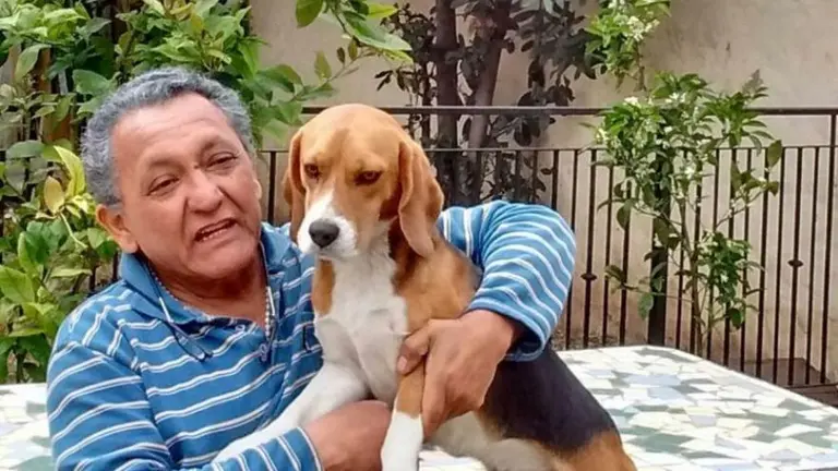 Centeno, arrepentido: ¿cuáles son los beneficios que otorga la figura del "imputado colaborador"?