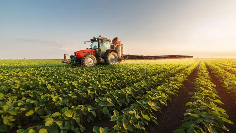 ¿Las nuevas retenciones son ilegales?: expertos cuestionan la constitucionalidad del decreto