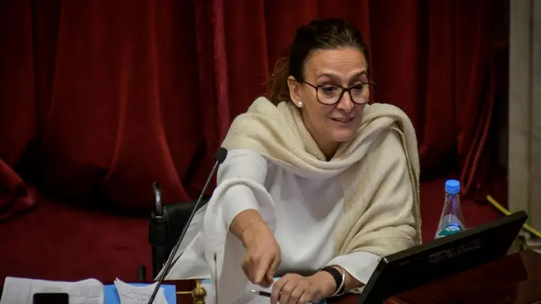 El ajuste llegó al Senado: limitan viáticos, celulares, autos y bebidas