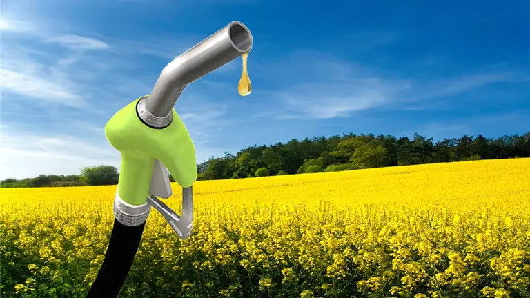La Unión Europea autorizó el ingreso del biodiésel argentino y se abre un mercado de u$s1.000 millones