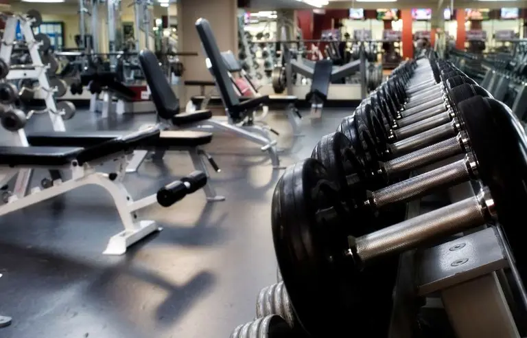 La Universidad de Harvard recomienda cinco ejercicios para mantenerse saludable, conocé cuáles son