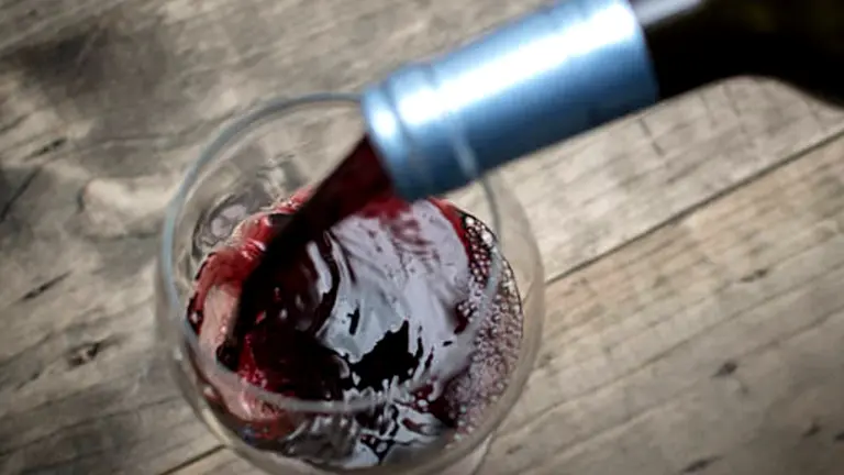 ¿Buscás vinos nuevos?: cinco etiquetas a partir de los $140 para mantenerse actualizados