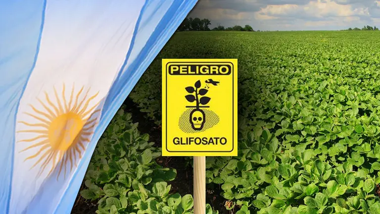 Glifosato, cáncer y polémica: pese a millonaria multa contra Monsanto en EE.UU., para el gobierno de Macri no es riesgoso
