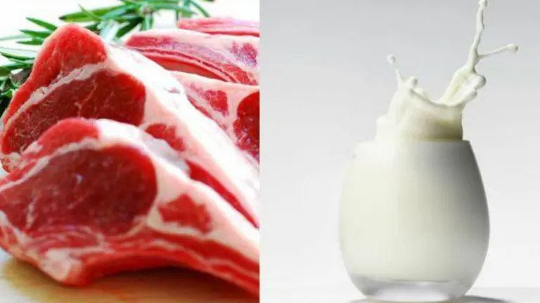 Histórica caída en el consumo de lácteos y carne en medio de la recesión