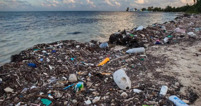 ¿Cuáles son las enfermedades que se pueden transmitir a través del agua y cómo prevenirlas?