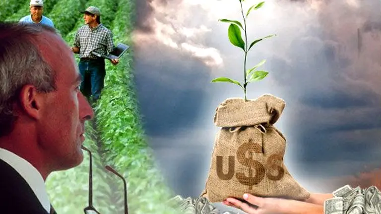 Advierten que el impacto de la presión tributaria en el agro alcanza el 91%