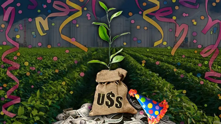 "Lluvia" de dólares por el campo: prevén la mejor cosecha de la historia y la mayor exportación de carne en una década