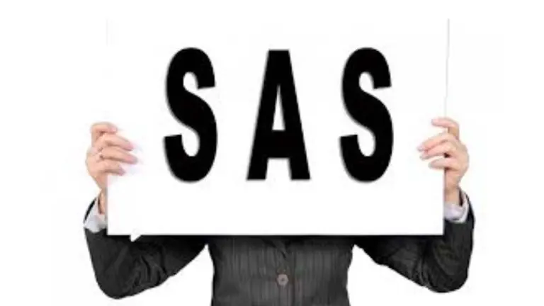 A un año de su implementación en Buenos Aires, cuántas Sociedades por Acciones Simplificadas se crearon