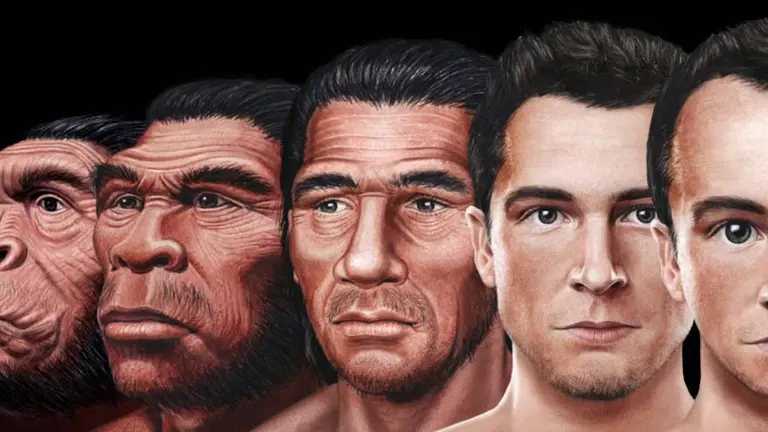 Científicos definieron cómo será el rostro humano del futuro