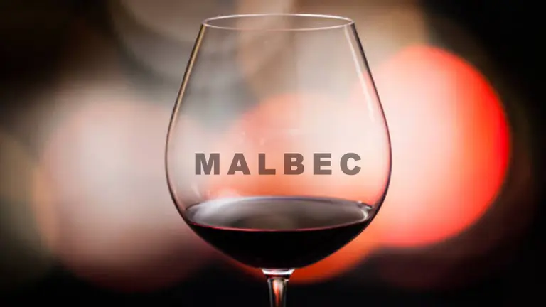 Vinos para salir de la rutina: 5 Malbec perfectos para salir de lo común