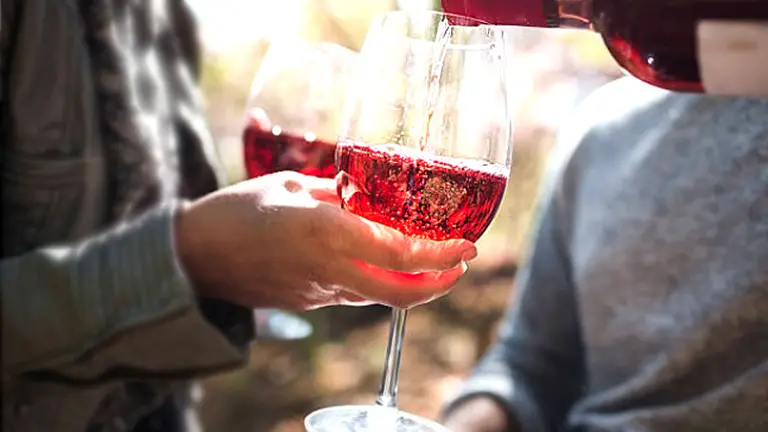 Vinos rosados: 8 nuevas etiquetas ideales para palpitar la primavera