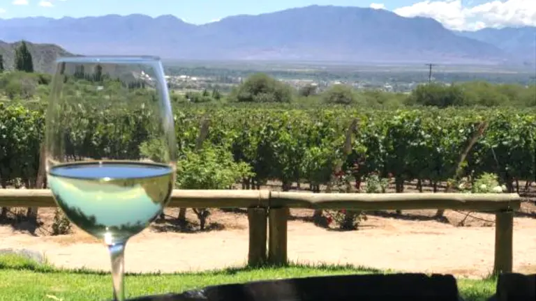 Impulsan la creación de la Ruta del Vino Casero y Artesanal de los Valles Calchaquíes