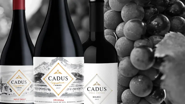 Los nuevos vinos de alta gama, cada vez más elegantes y bebibles y menos potentes