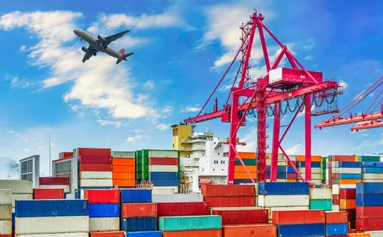 Importadores con la lupa en la ley ómnibus que presentará Milei: ¿dirá chau a las SIRA?