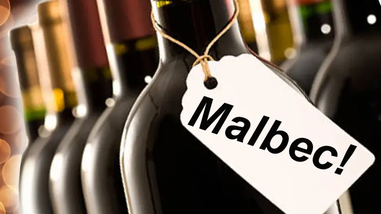 Vinos: 10 datos que tenés que conocer sobre el Malbec