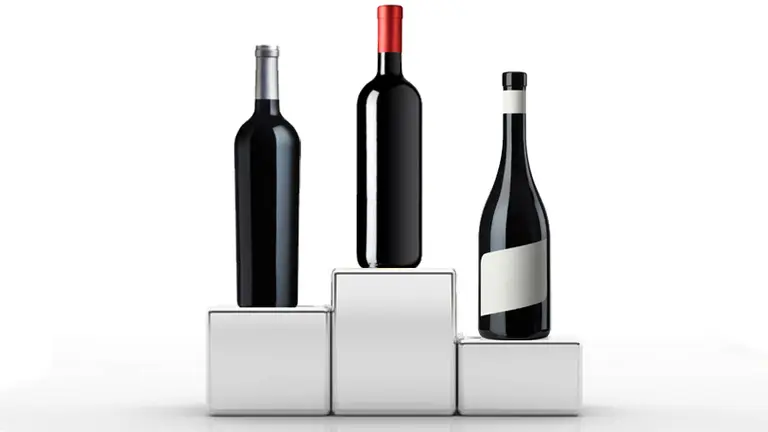 Estos son 10 de los mejores vinos tintos de la Argentina, según el voto de enólogos