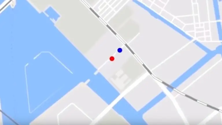 ¿Quién sigue a quién en esta ilusión óptica?: la respuesta está en el video