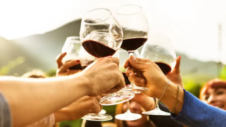 Vinos, montaña y dólar alto: nuevo boom de brasileños en Mendoza