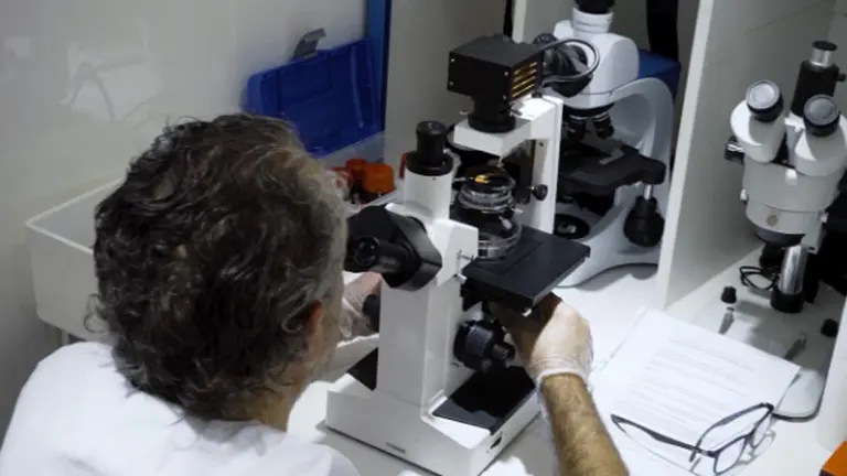 La Argentina, en el tope de este estratégico ranking tecnológico de América latina