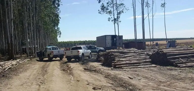 SISA: la AFIP recuerda que este jueves vence plazo para cargar los datos