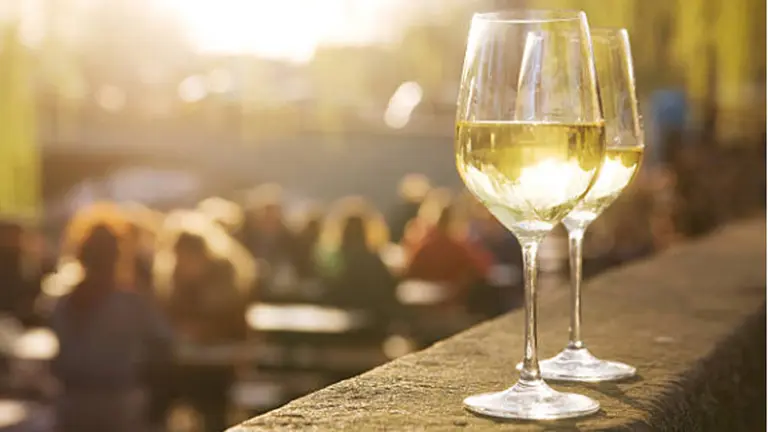 Vinos para refrescar el paladar: 5 grandes Sauvignon Blanc que hay que probar