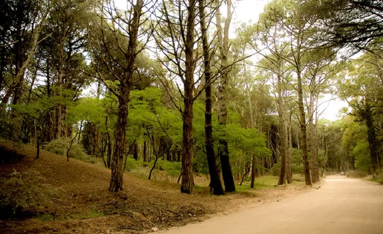 Por la devaluación, veranear en Cariló cuesta la mitad que en Punta del Este