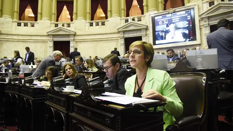 Código Procesal Penal: qué dice la reforma aprobada este jueves en Diputados