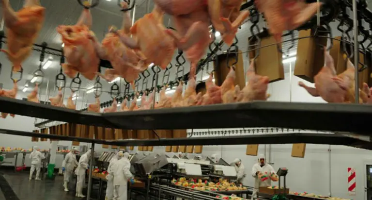 Los ex dueños de Paty ahora vendieron la firma Avex