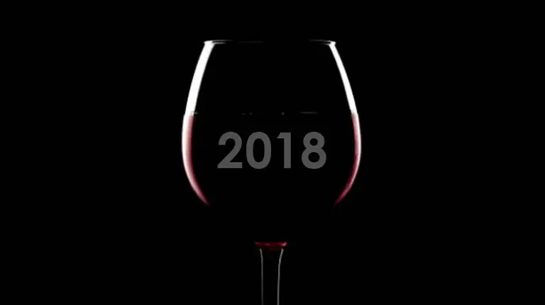 Vinos argentinos: estas son las 30 mejores novedades del 2018