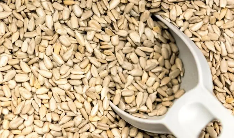 ¿Te gustan los snacks?: ANMAT prohibió la venta de una serie de productos dentro de este grupo