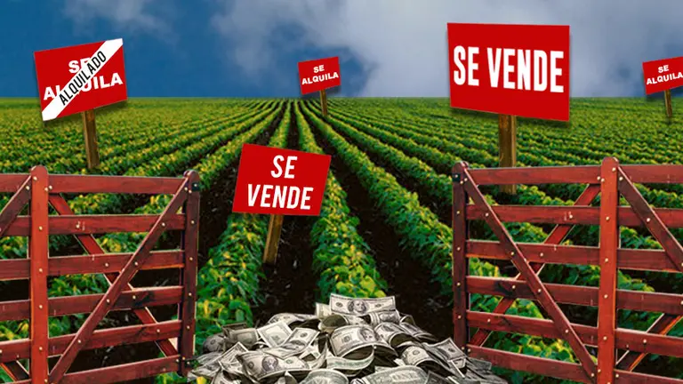 Qué sector busca capitalizar los dólares que llegarán de la mano de la súper soja