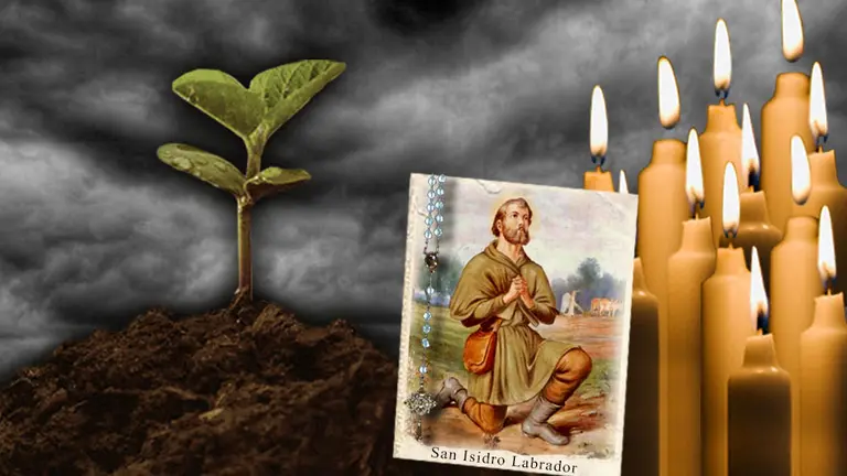 La Fed ayuda, el campo asegura: en el Banco Central confían en ganarle la pulseada al dólar