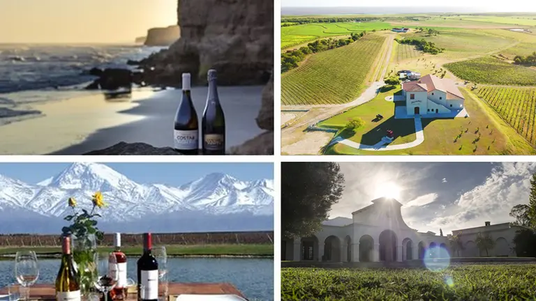 Vinos y turismo: 10 bodegas de 4 provincias para visitar en verano