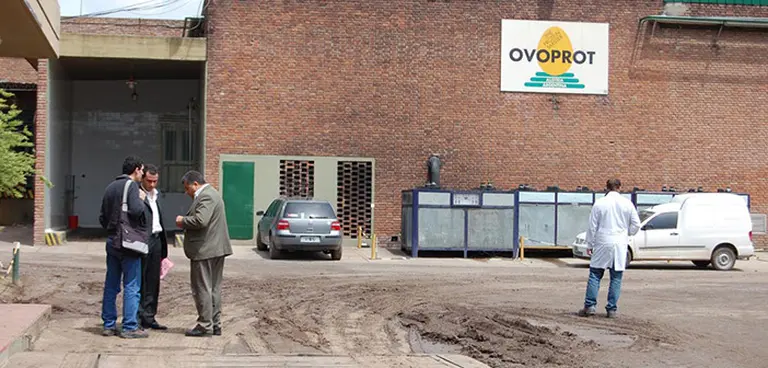 El Gobierno abre investigación contra la mayor procesadora de huevos de la Argentina