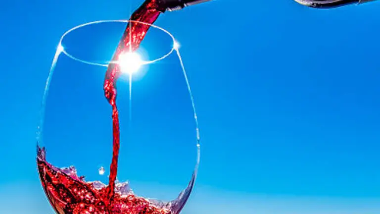 Vinos diferentes, más allá del Malbec: 5 etiquetas perfectas para el verano