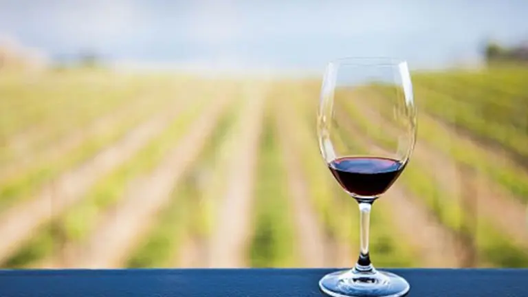 Influencer reveló cuánto cuesta hacer la ruta del vino en Mendoza: los precios fueron una gran sorpresa