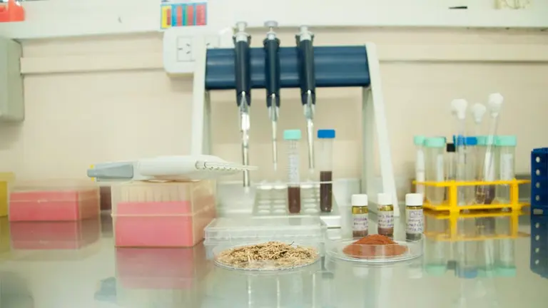 El mejor invento de Latinoamérica es argentino