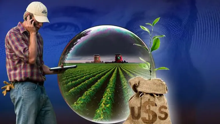 Con el nuevo dólar, el campo salió a liquidar mayor volumen