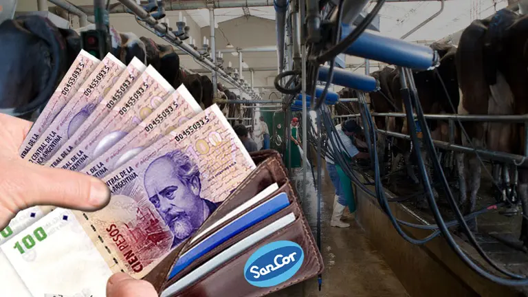 Ahora con plata por la venta de plantas, SanCor busca la "paz financiera" con los tamberos