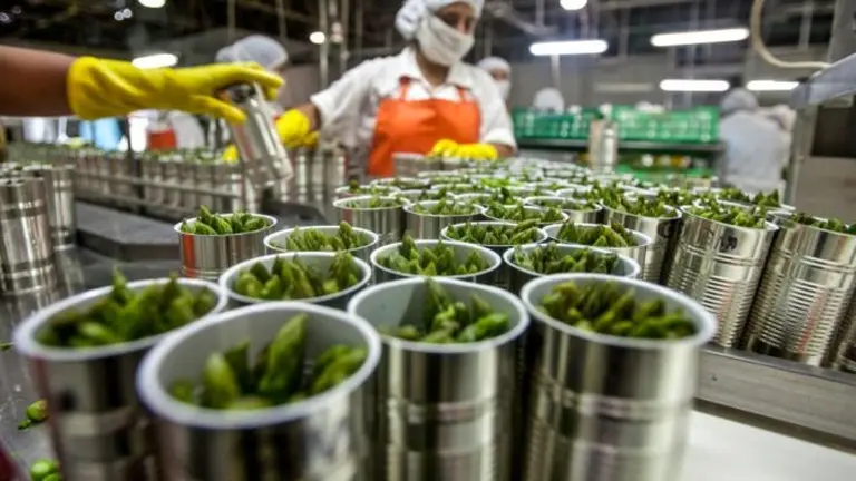 Reducción de las cargas patronales: los 47 sectores beneficiados