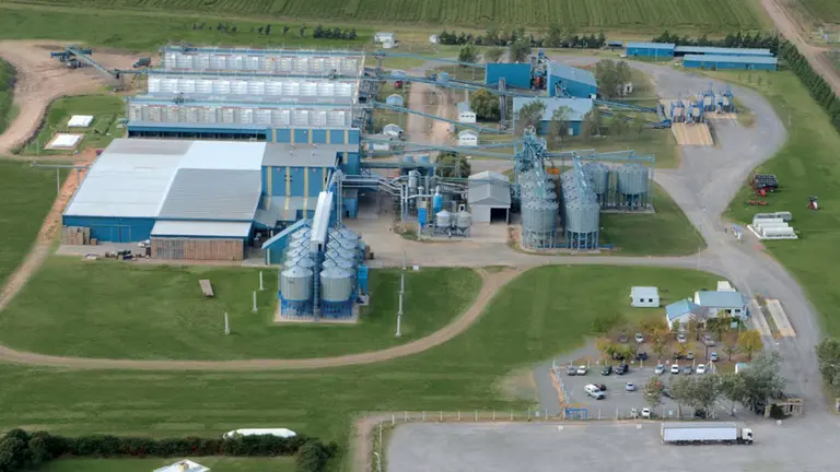 La semillera Satus Ager firmó acuerdo para adquirir Tecnoseeds Argentina y Brasil