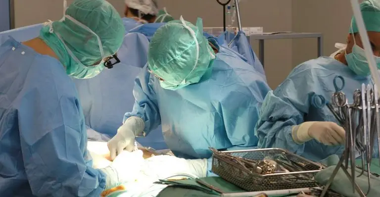 Ya se puede expresar la voluntad de donación de órganos desde el celular