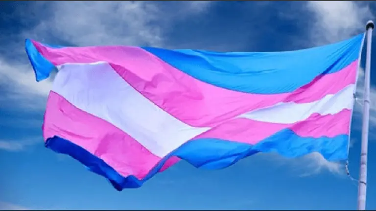 WhatsApp podría introducir el emoji de la bandera trans