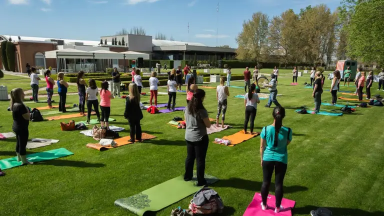 Una emprendedora unió vinos y yoga y generó un furor en Mendoza